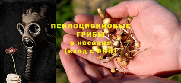 твердый Алексеевка